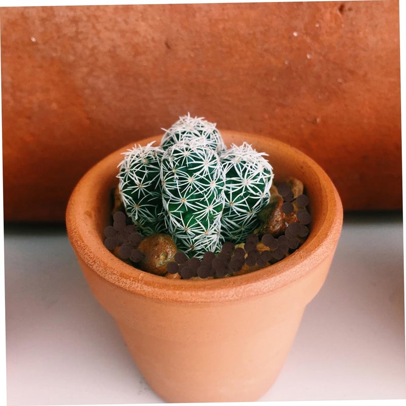 حصى الطين الموسع كيس 5 لتر وسط زراعي مائي للنباتات تصريف الرطوبة ركيزة زخرفية - Image 4